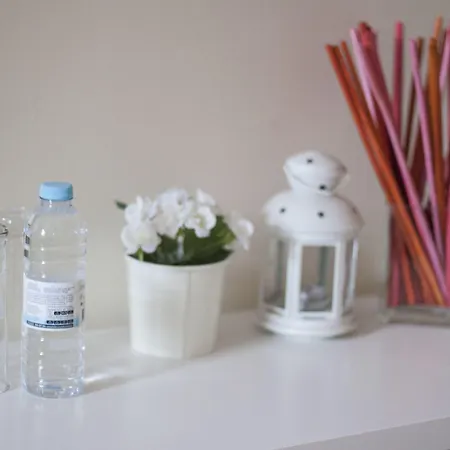 丽斯比昂旅馆 Lisboa